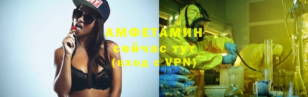 молекула духа Пересвет