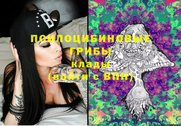 мяу мяу мука Переславль-Залесский