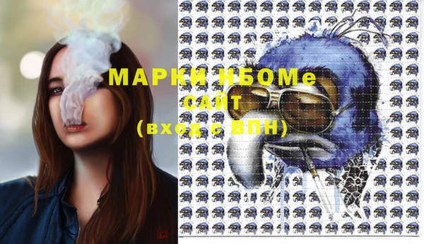 амф Пестово