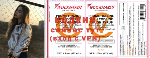 амф Пестово