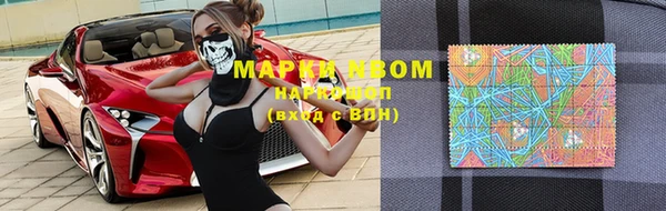 амф Пестово