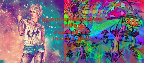 мяу мяу мука Переславль-Залесский