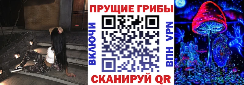 Купить закладки  Санкт-Петербург  Псилоцибиновые грибы Magic Shrooms 